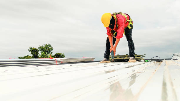 Best Roof Moss and Algae Removal  in Wyboo, SC